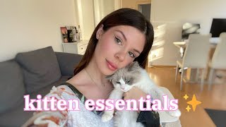 7 essentials you will need for your new kitten 🐾💖