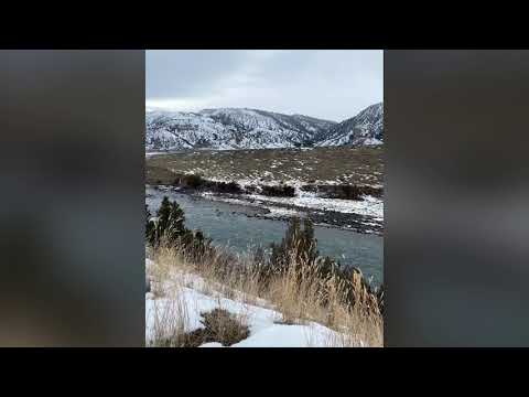 Yellowstone Winter 2020