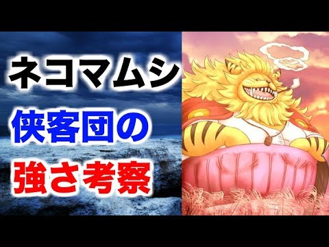 ワンピース ネコマムシの旦那 侠客団の強さ考察 スーロン 月の獅子 化について思うこと Youtube