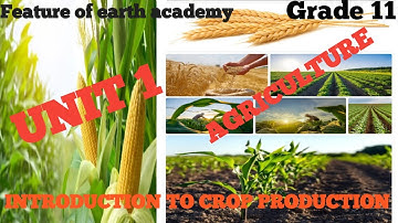 Grade 11 Agriculture unit 1 part 2, 1.3 Status of crop production
