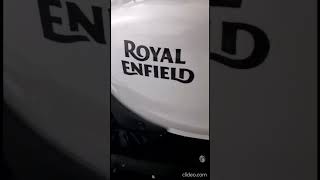 Royal Guerrilla 450 GRR 45 Road Tires (2025)  | PRC 80's