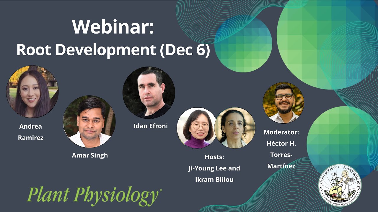 December 6: Plant Physiology Webinar, Focus on Root Development