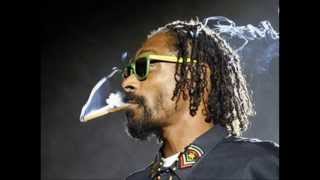 Snoop Lion- Rebel Way Lyrics
