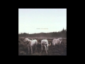 Foxing  the albatross full album