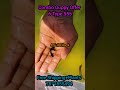 Combo Guppy Offer 6 Type555//Free Shipping//Free Plants