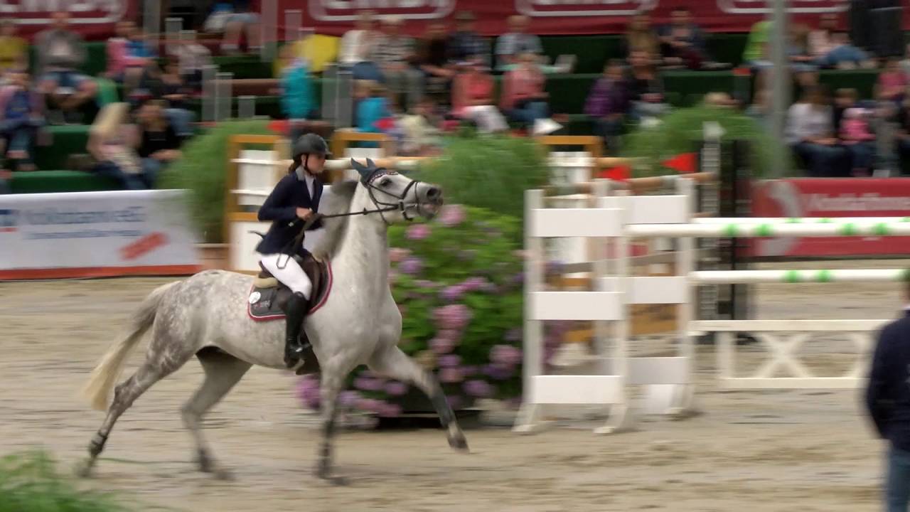 Fest der Pferde 2016   Prf01 26 484 Iris Gautschi   Cartaja