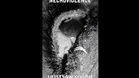 NECROVIOLENCE/IJUSTSAWYOUDIE - Split 2024 (Outsider Industries, 2024)