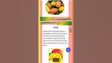 #jigyasa#aambagacha #jingyasaproject#mangotree#10thclassjigyasaprojectinodia#10thclass#9thclass