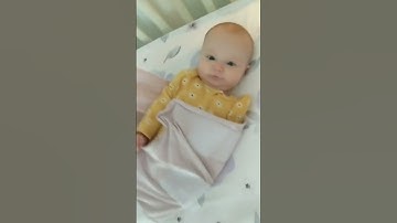 The difference of The Ollie Swaddle #theollieworld #shorts #ytshorts