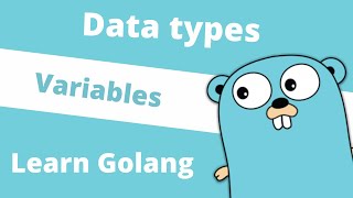 Celebrity Variables | Data Types | Learn Golang Profile