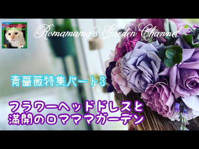ばら 青薔薇でフラワーヘッドドレス 薔薇満開 花 Youtube