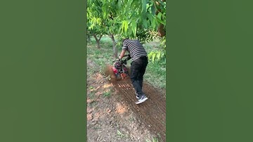 Mini Tiller Machine in Action | Powerful Farming Tool for Easy Soil Preparation part 952