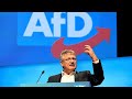 German far-right AfD party elects new leader backed by radical wing