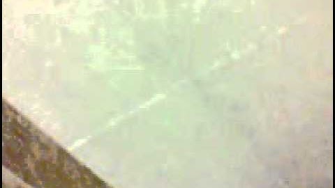 الشيخ موسى الهلالى سورة الشمس