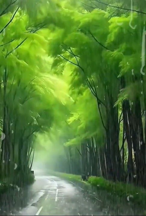 #Tention Love - Single - Youchi Rami