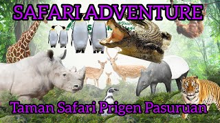 SAFARI ADVENTURE//TAMAN SAFARI PRIGEN PASURUAN