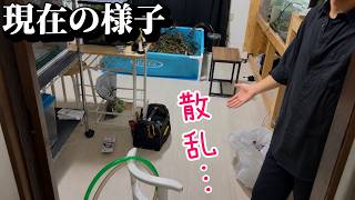 買った中古物件の現在の様子！全部屋見せます。