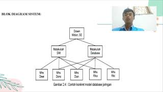 Model jaringan data base