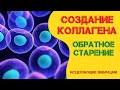 Выработка коллагена✨Мощная регенерация клеток✨Исцеление звуком Ч. 2