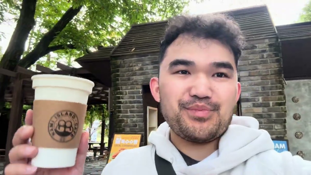 I went on a tour of Seoul South Korea eating Dumplings, Night market, and visiting Everland