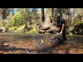 A Morning Fly Fishing Nymph Below Dry and Euro Nymphing | Ovens River | Victoria, Australia