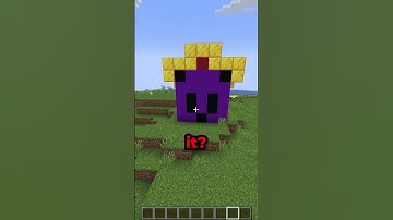 $1 VS $100 Minecraft Base