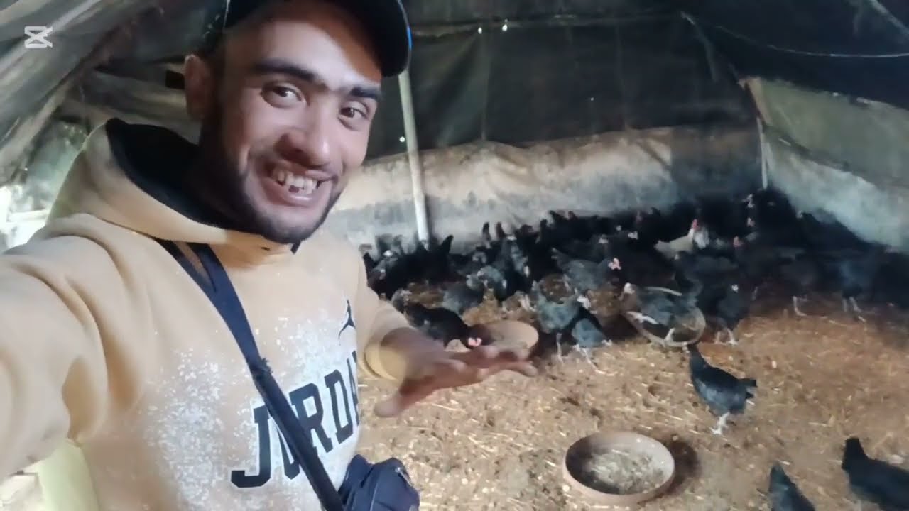 لعشاق دجاج الاسترالوب بالي قبل ما يسالي جبنا ليكم لمليح 