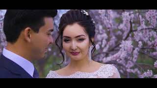 YLHAM BAHAR LOVE STORY 2019