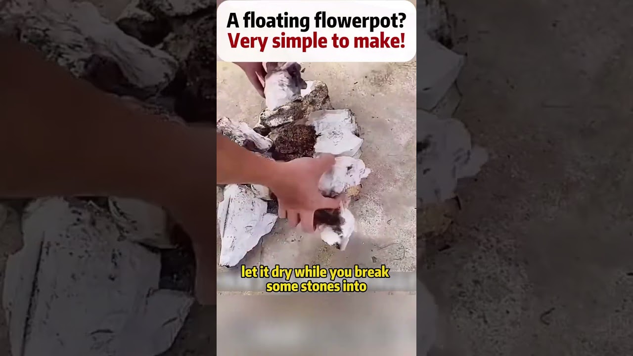 This Floating Flower Pot is Magic!  Here’s How You Can Make One!