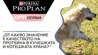 От какво значение е качеството на протеина в кучешката и котешката храна? От какво значение е качеството на протеина в кучешката и котешката храна?