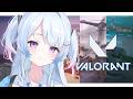 【VALORANT】大会に出ることになったので、顔合わせ兼スクリムだよー!!✨✨ #なぎたいむ