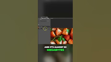 🍽️📸 Enhance Your Food Blog: Optimize Image Exporting for Faster Loading Speeds 📸🍽️ #foodphotography