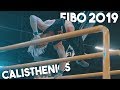 FIBO 2019 | Street Workout &amp; Calisthenics