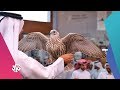صباح النور معرض سهيل للصيد والصقور الدولي في الدوحة صباح النور معرض سهيل للصيد والصقور الدولي في الدوحة