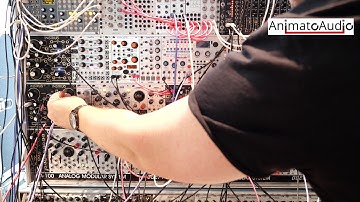 Mob of Emus Preset #9 (1/2)