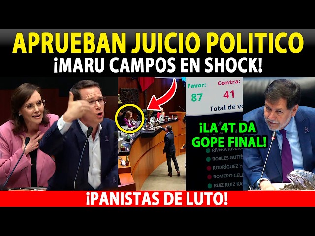 ¡APRUEBAN JUICIO POLITICO! BARREN CON  MARU CAMPOS, SENADO INICIA JUlClO