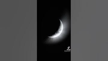 الشيخ محمد سليمان من سورة يوسف
