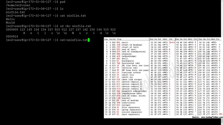 How Unix Treats Files Differently From Windows