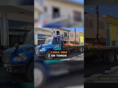 Dan último adiós a Nemesio Oseguera #ElMencho #guadalajara