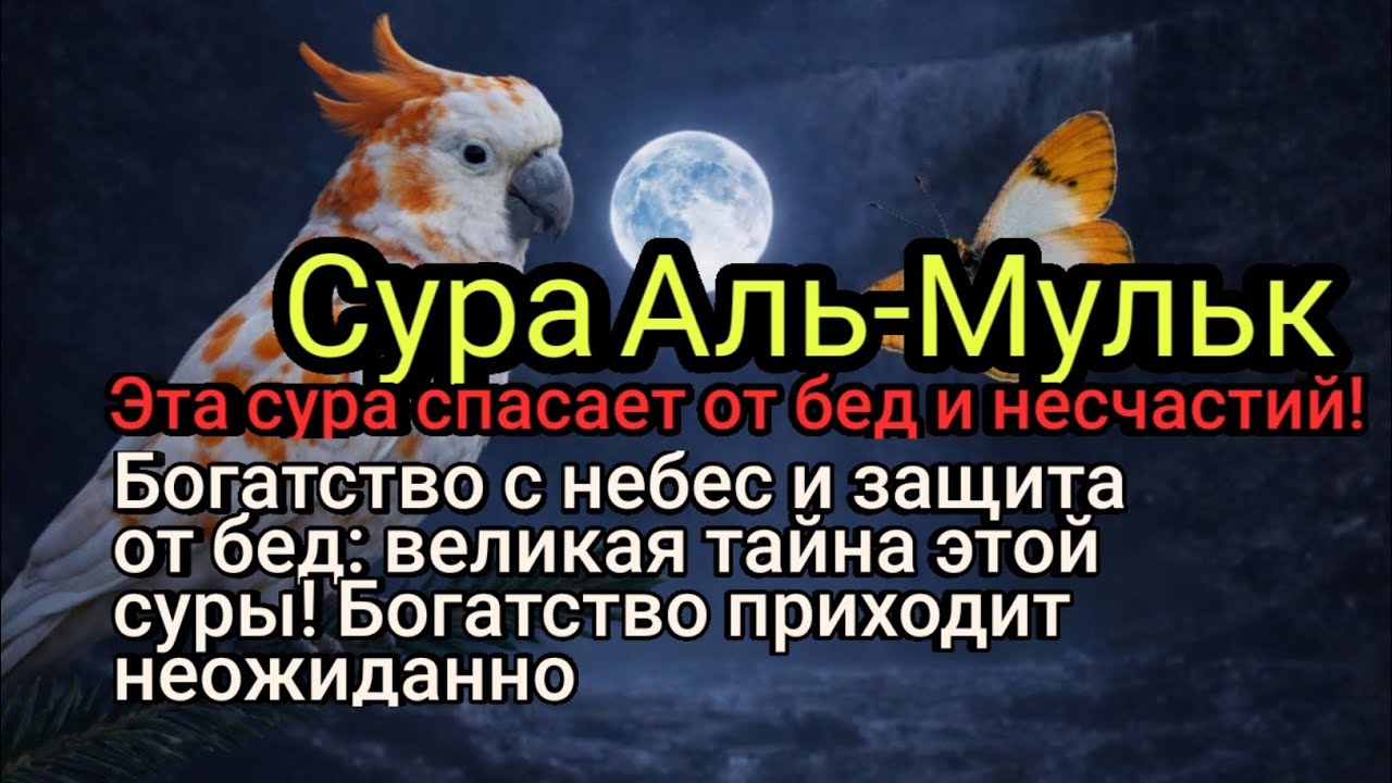 Богатство и счастье в доме: эта сура притягивает удачу!