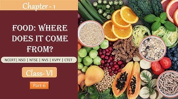 Food- Where does it come from? Part-6| NCERT Class-6 Science Ch-1 | CBSE | ICSE | CTET | NSO