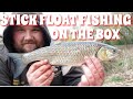 Stick Float Fishing For Chub - On The Box