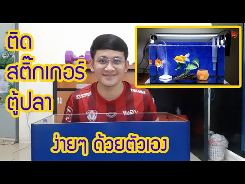 วีดีโอ: วิธีทำพื้นหลังในตู้ปลา