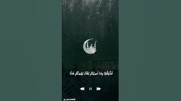 القران الكريم | القارئ عبدالرحمن مسعد🎧🖤#القران_الكريم