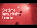 Systme immunitaire humain animation