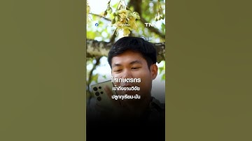 AI Chatbot พลิกโฉม เกษตรไทย l TNN ข่าวเช้า l 28-02-2025