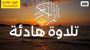 قران كريم بصوت جميل جدا جدا يشرح القلب القارئ  :زيد الزبيدي