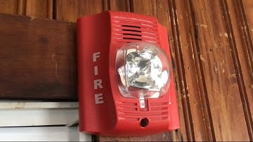 1 CHIME STROBE TEST AND 2 STROBE ONLY TEST