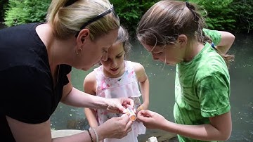 Student-Scientists Collect Data on Bronx River