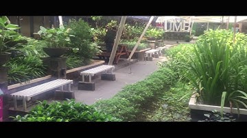 Universitas Mercubuana Cinematic Video